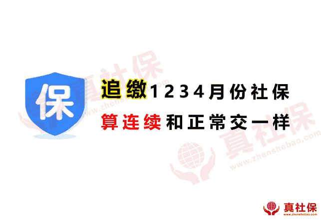 深圳社保追缴1、2月、3月、4月社保。