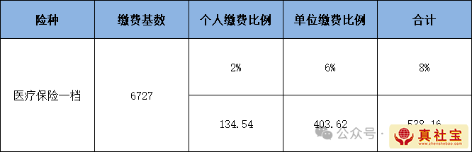 2026年深圳一档医保缴费标准